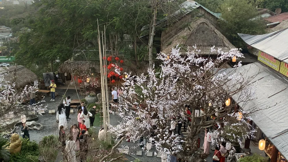 Sân chùa Từ Tâm không khi nào ngớt khách. Ảnh: MINH PHƯƠNG