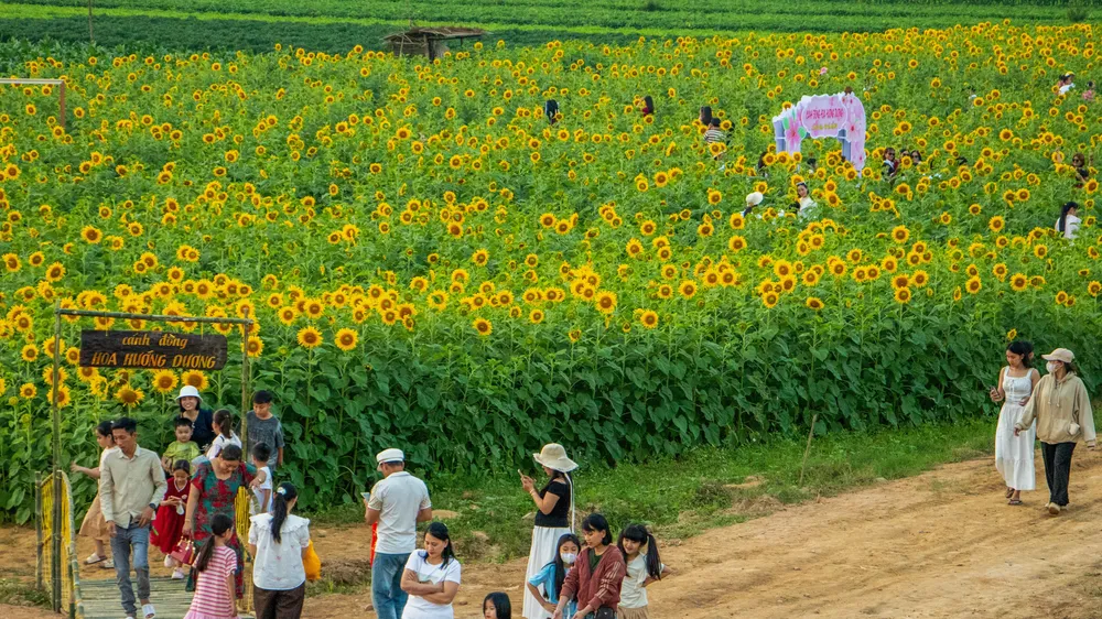 Đông đảo người dân, du khách đến tham quan, chụp ảnh