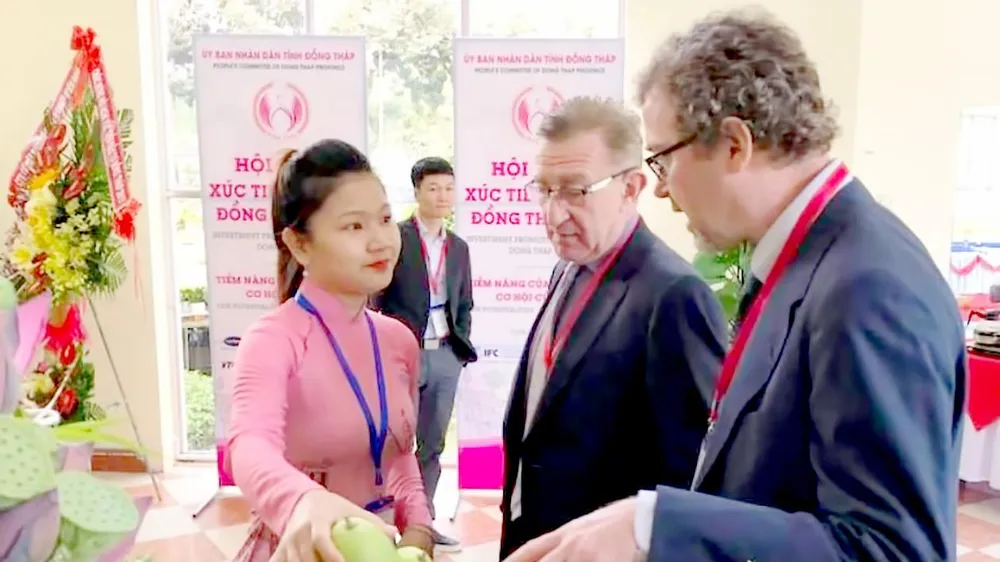 Ấn tượng đất sen hồng