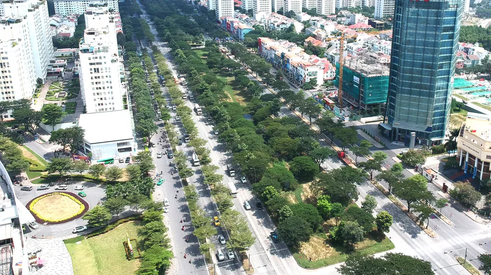 Nhiều vướng mắc trong quản lý cây xanh đô thị