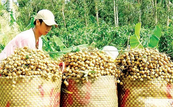 Quan trọng nhất là chất lượng sản phẩm