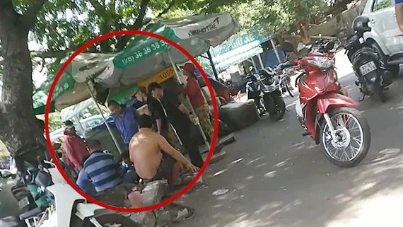 Cò vé hoạt động nhộn nhịp