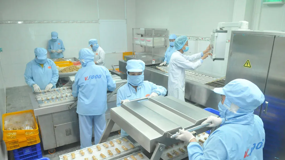 Chế biến trứng cút phá lấu tại Công ty CP Thực phẩm Vĩnh Thành Đạt. Ảnh: CAO THĂNG