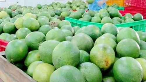 Nông nghiệp xuất siêu hơn 6 tỷ USD