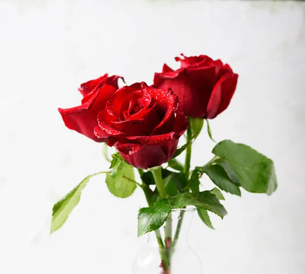 Xóm nhỏ