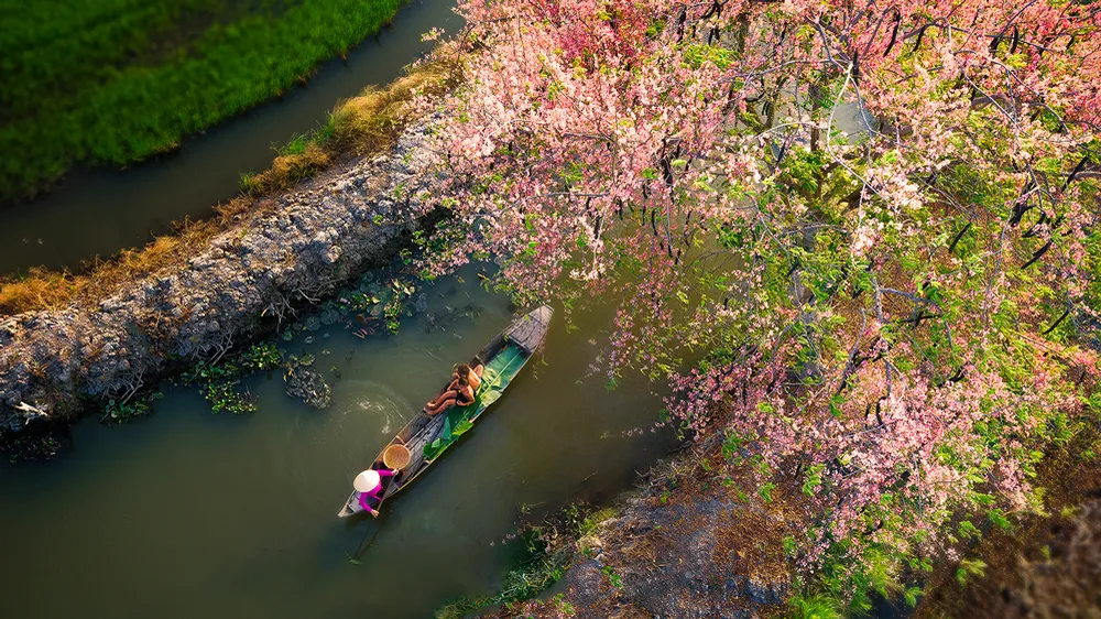 Việt Nam muôn màu