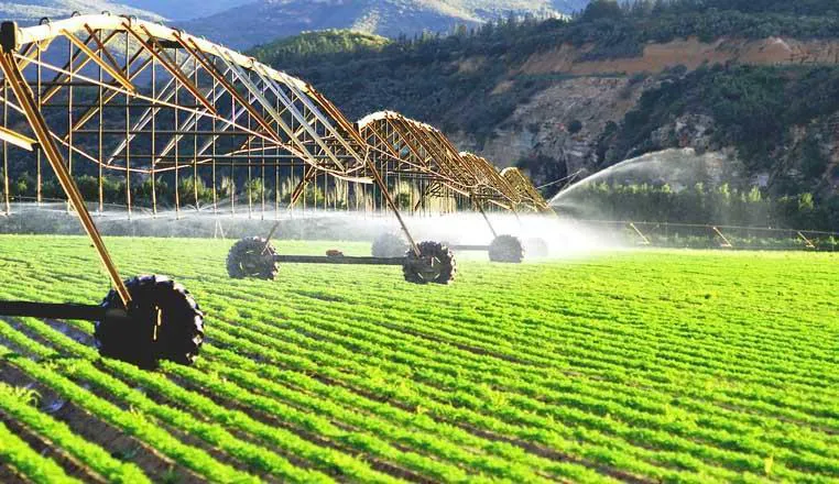  Một trang trại nông nghiệp ở Kazakhstan