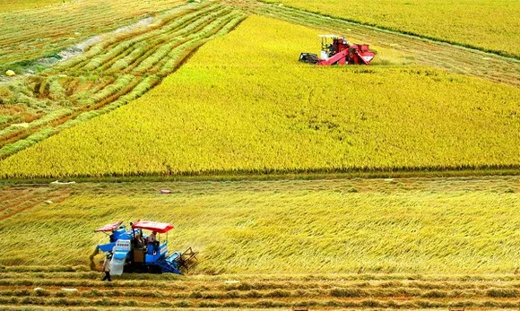 Nông nghiệp làm trụ đỡ nền kinh tế