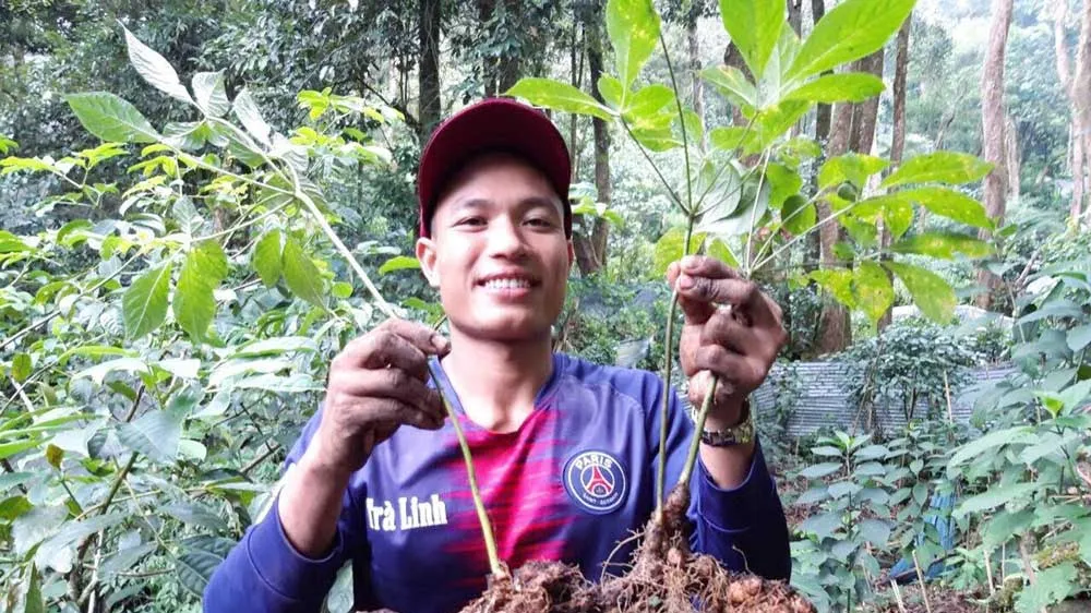 Người dân huyện Nam Trà My (tỉnh Quảng Nam) với sâm Ngọc Linh. Ảnh: XUÂN QUỲNH