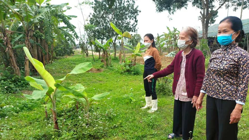 Bà Nguyễn Thị Nhung bên diện tích đất vườn hiến chuẩn bị mở đường