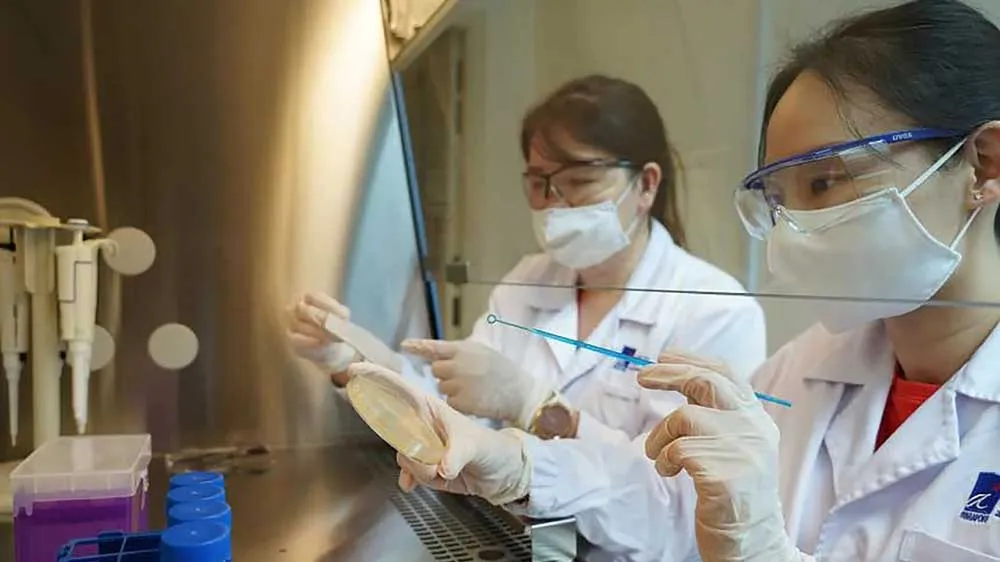 Singapore thu hút nhiều nhân tài làm việc trong ngành khoa học y sinh