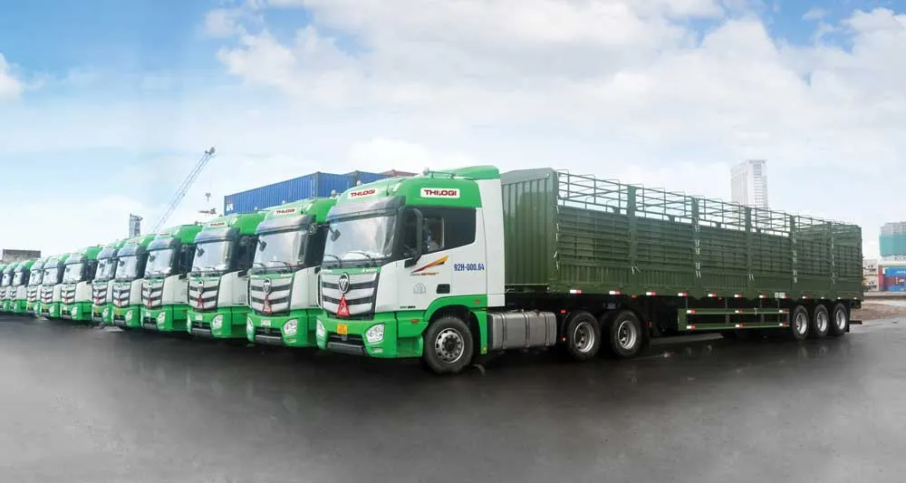 Thilogi cung ứng dịch vụ vận chuyển gia súc chuyên nghiệp