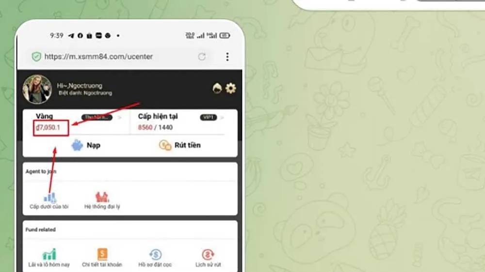Để lấy lòng tin, các đối tượng lừa đảo đưa ra các app  như thật để  dụ dỗ khách hàng chuyển tiền vào 