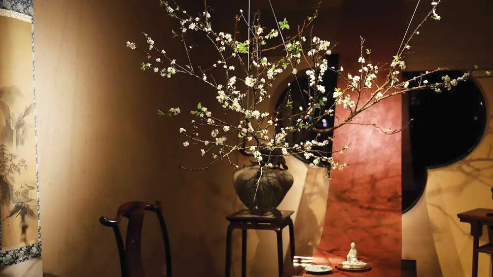Tết đâu chỉ "mai Nam đào Bắc"