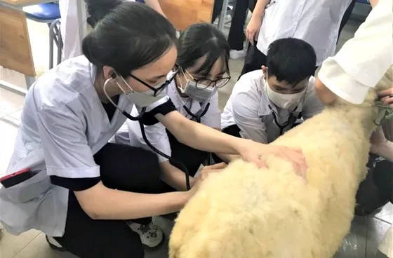 Thú y là ngành học thú vị