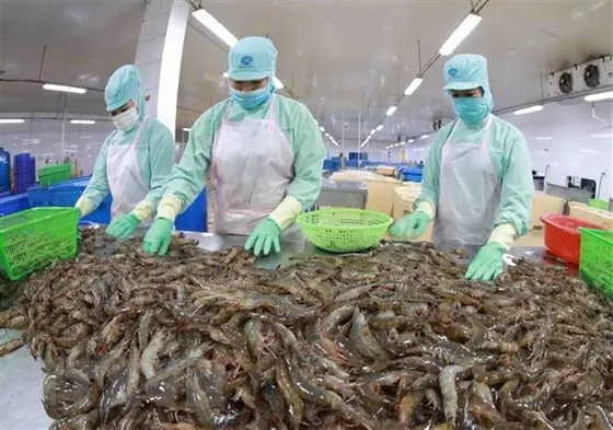 Nông sản, thực phẩm của Việt Nam đã có mặt 180 quốc gia, vùng lãnh thổ 