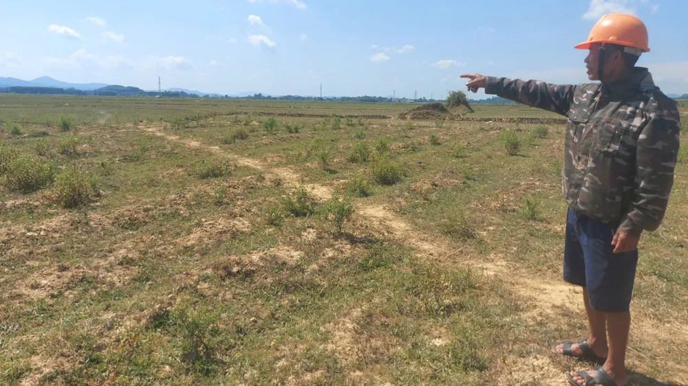 Ông Trần Văn Dũng (xã Hương Thủy, Hà Tĩnh) bên cánh đồng bỏ hoang do nắng nóng, hạn hán. Ảnh: DƯƠNG QUANG