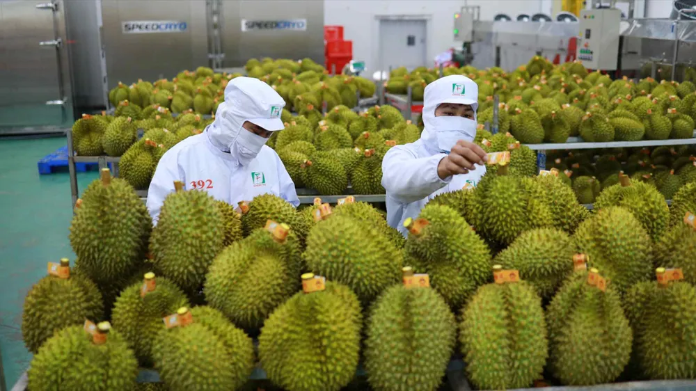 Không có việc Trung Quốc yêu cầu nộp giấy chứng nhận đăng ký và phí khi nhập khẩu nông sản