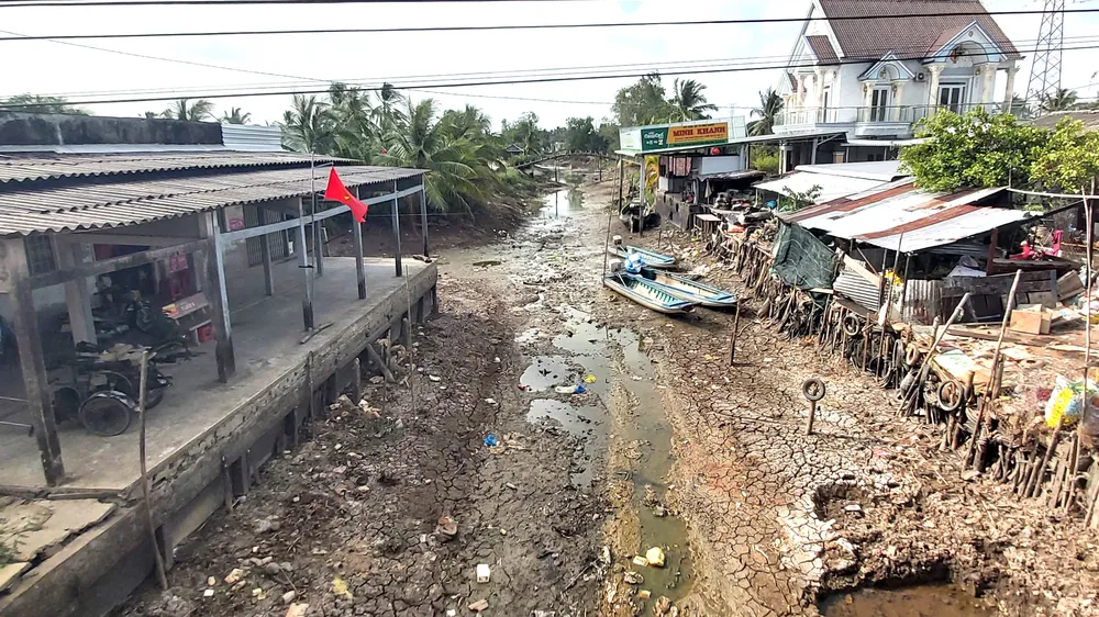 Kênh mương trong vùng ngọt hóa huyện Trần Văn Thời (tỉnh Cà Mau) bị khô cạn. Ảnh: TẤN THÁI