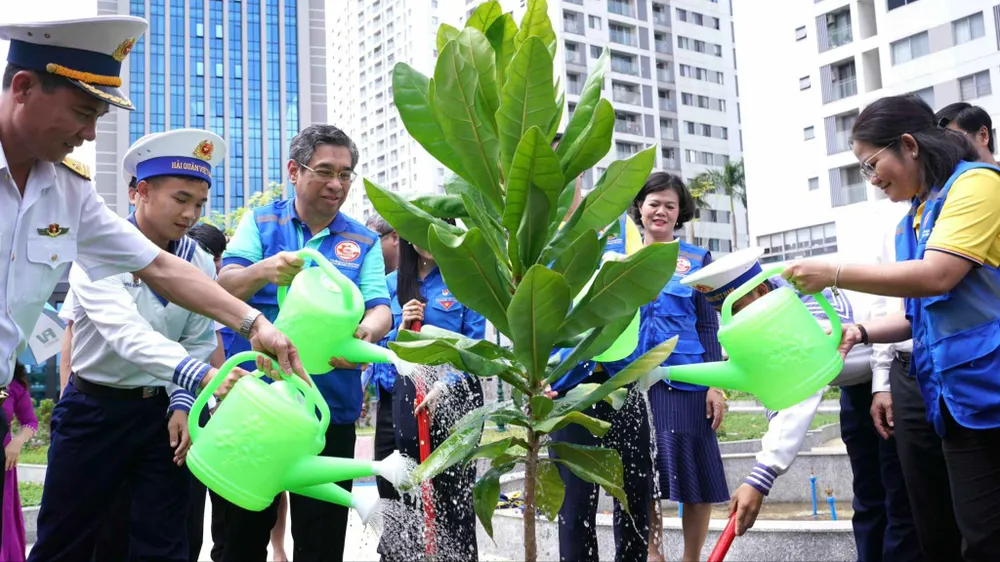 Thêm cây bàng vuông - món quà từ Trường Sa được trồng tại TPHCM