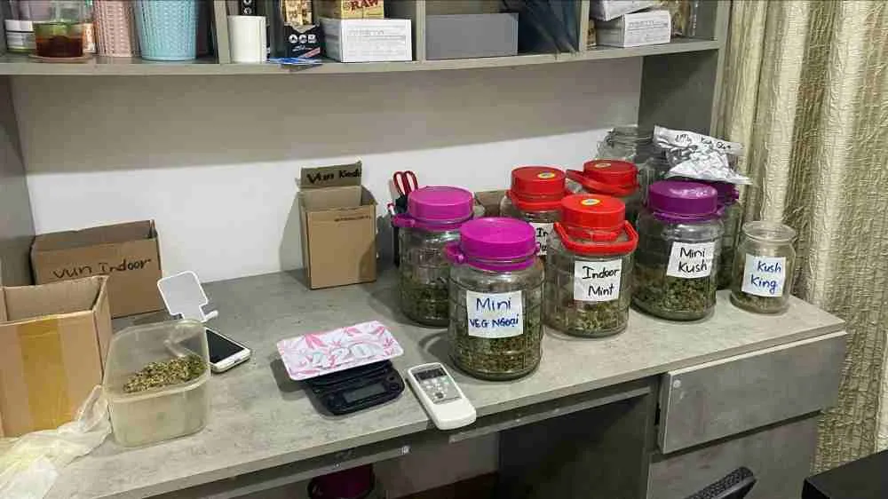 Triệt phá đường dây buôn bán ma túy quy mô lớn trên mạng, thu giữ 40kg cần sa