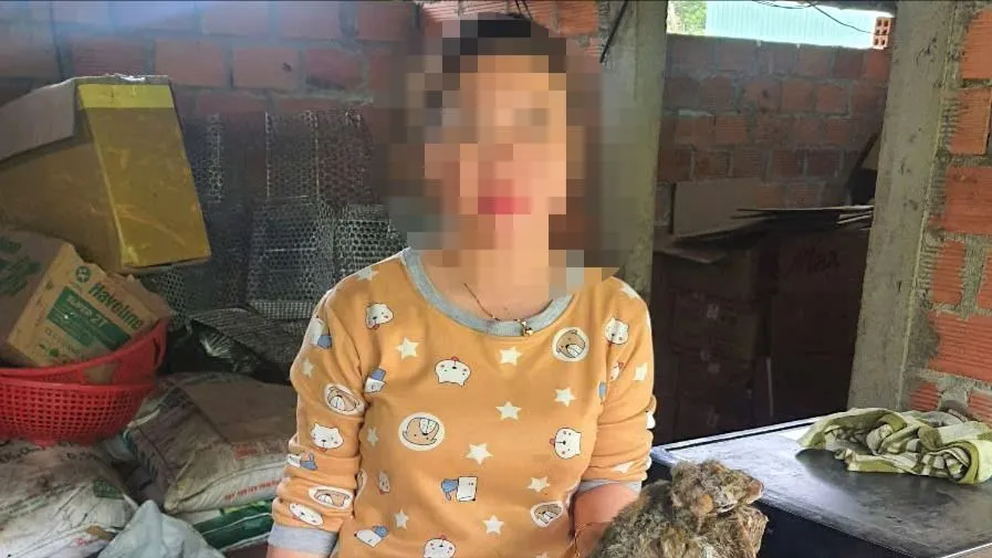 Khởi tố đối tượng thu mua 5 cá thể rắn hổ chúa, chồn bay