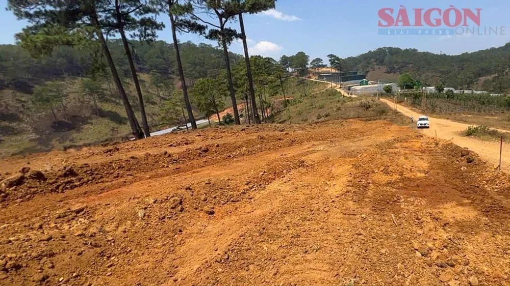 Đà Lạt: Ngang nhiên san ủi đất rừng giữa ban ngày