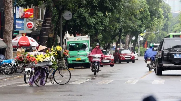 Hôm nay, Bắc bộ trời mát, Nam bộ có mưa vào chiều tối