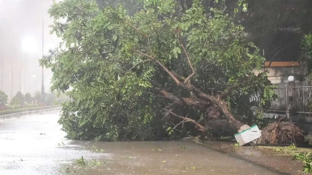 Bão đã vào đất liền, mưa gió trên diện rộng