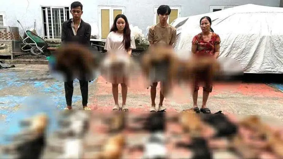 Các đối tượng và tang vật vụ án