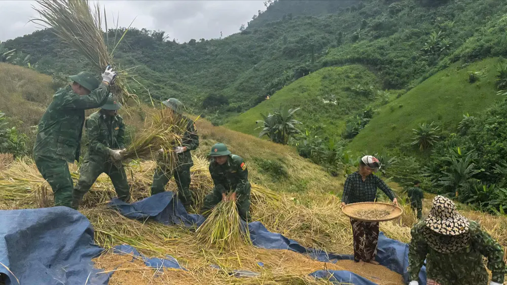Cán bộ, chiến sĩ Đồn Biên phòng La Êê khẩn trương giúp dân gặt lúa nương trên đồi Bhơr