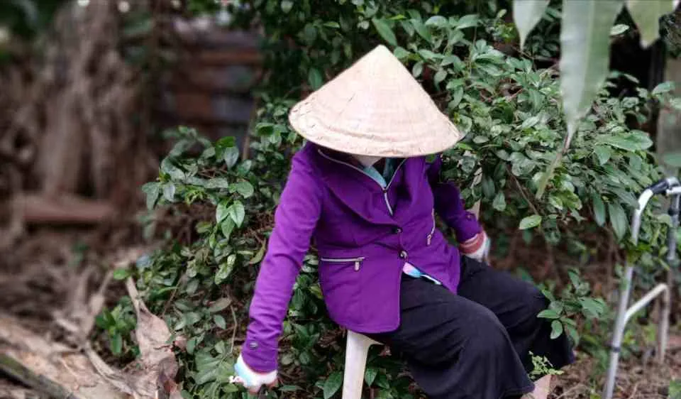 Bình yên sau bão lũ