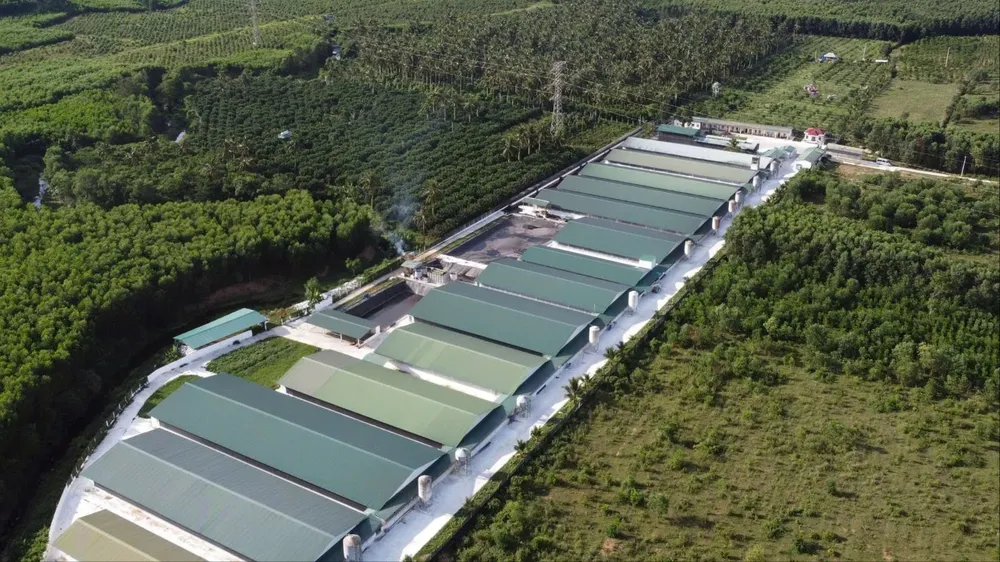Một dự án chăn nuôi heo khép kín ở Gia Lai