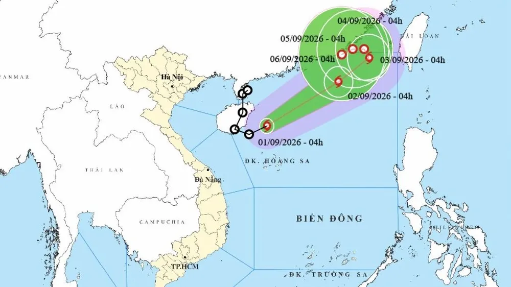 Áp thấp nhiệt đới đã mạnh lên thành bão số 5