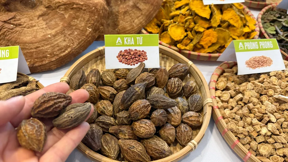 Bộ Y tế đề xuất tăng 129 thuốc y học cổ truyền được bảo hiểm thanh toán