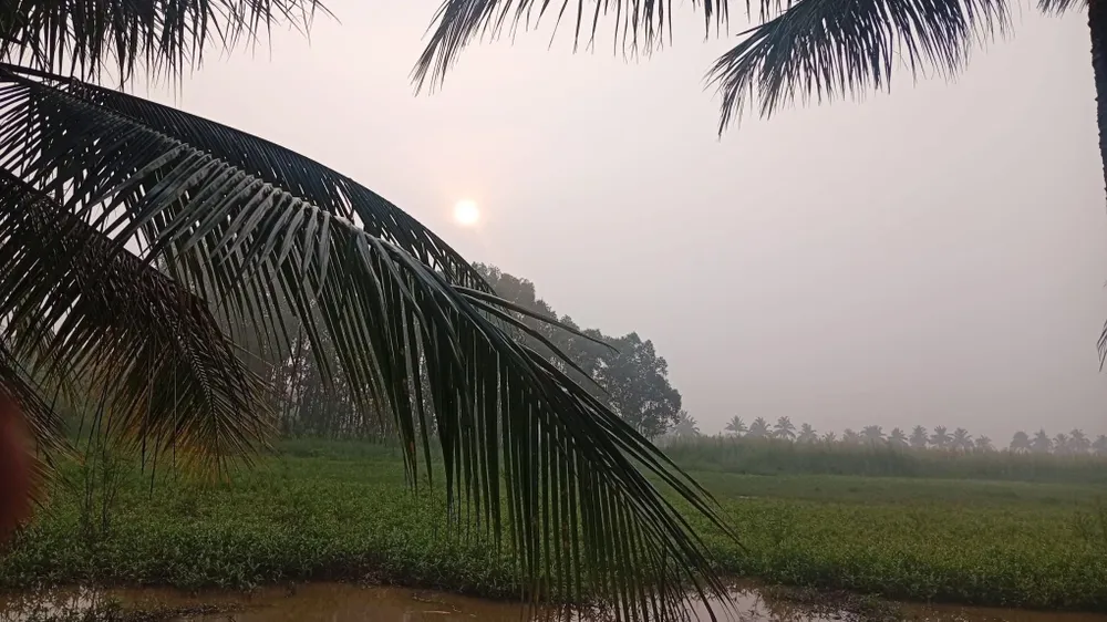 Chưa xác định được nguyên nhân "lớp mù bao phủ" nhiều nơi ở Nam bộ