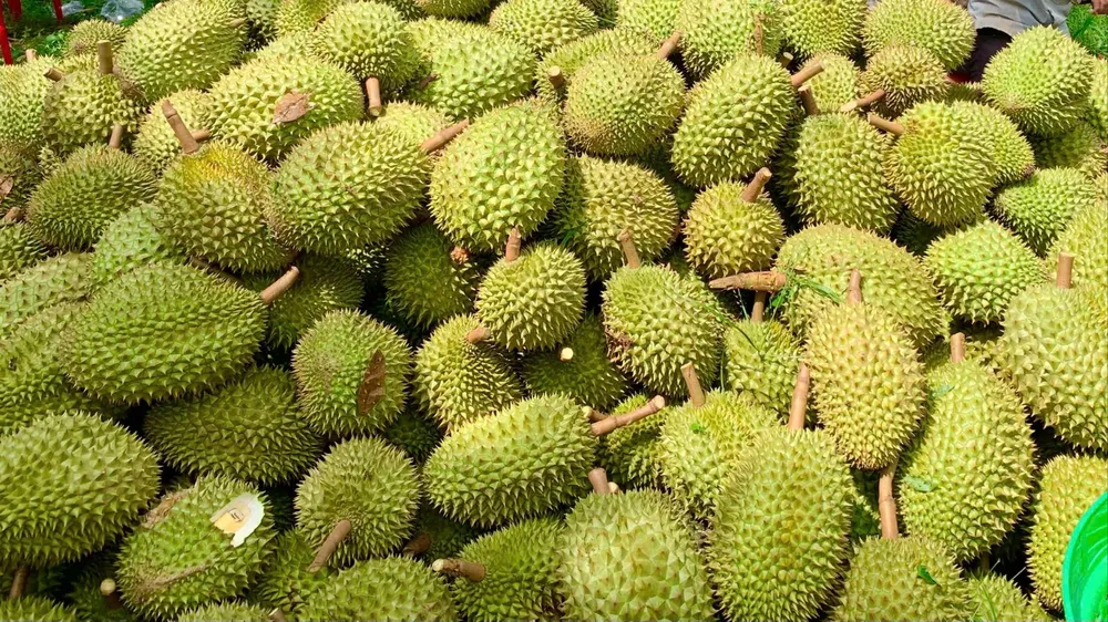 Đại tá Phạm Trường Giang, Cục phó C03, thông tin tại họp báo