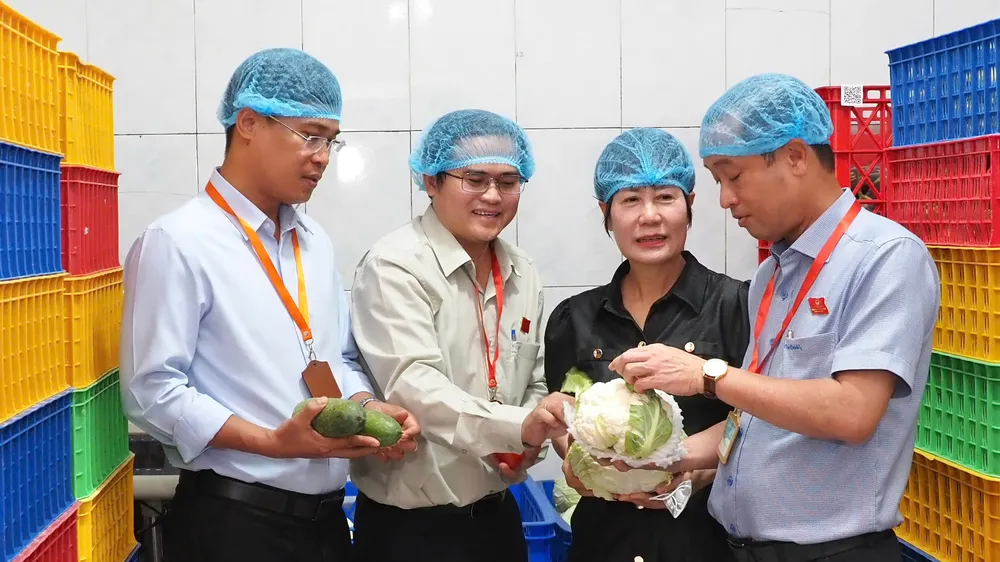 Thường trực HĐND TPHCM khảo sát ATTP công ty cung ứng suất ăn trường học 