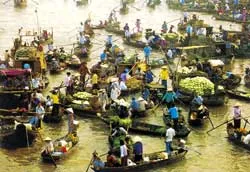 Tình Hậu Giang