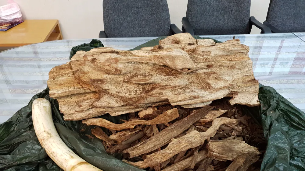Tang vật bị thu giữ