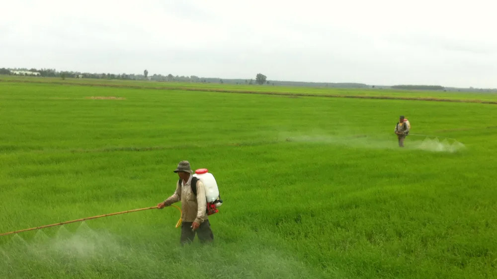Giải pháp phát triển nông nghiệp Tây Ninh
