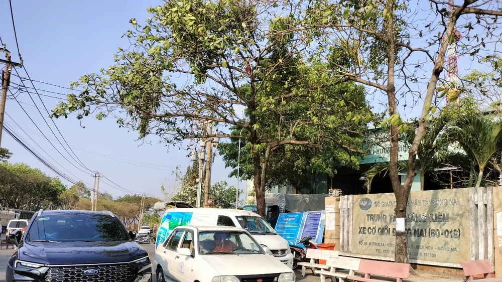 Bắt giám đốc trung tâm đăng kiểm xe cơ giới ở Đồng Nai