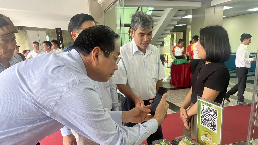 Đồng Nai: Hình thành vùng chuyên canh cây sầu riêng phục vụ xuất khẩu