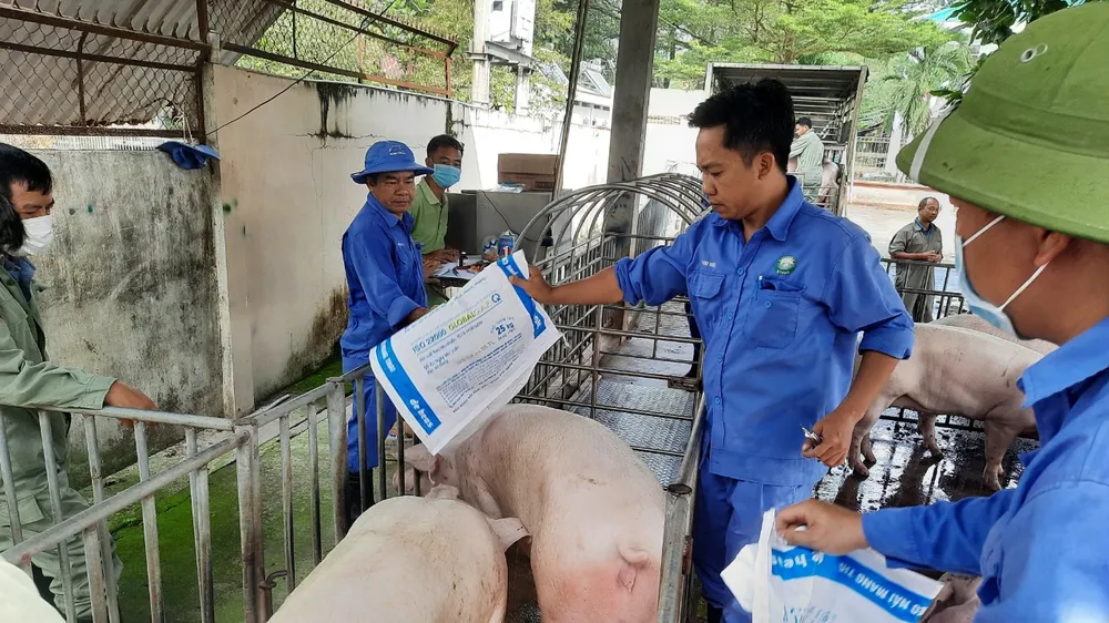 Đồng Nai đẩy mạnh truy xuất nguồn gốc thực phẩm chăn nuôi