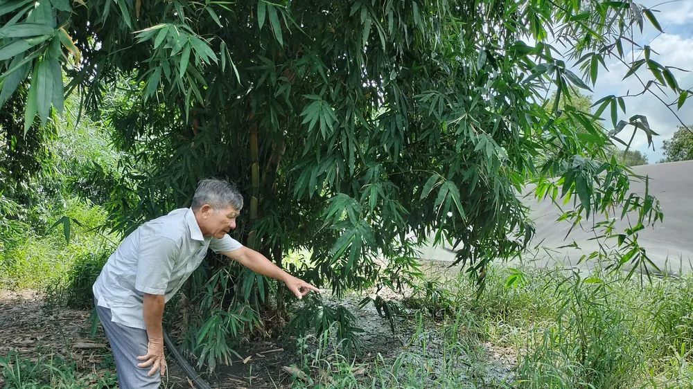 Người dân bức xúc vì trại heo, bò gây ô nhiễm môi trường