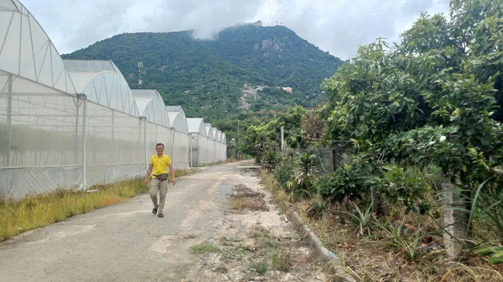 Tây Ninh: Tăng trưởng kinh tế dẫn đầu Đông Nam bộ trong 6 tháng đầu năm 2024