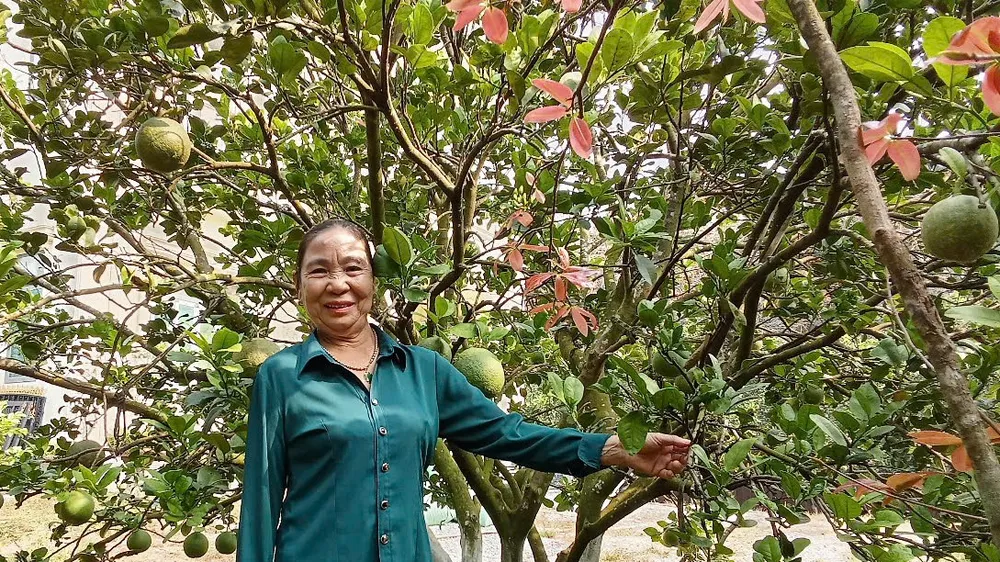 Không nghĩ mình là “tuổi cao sức yếu”