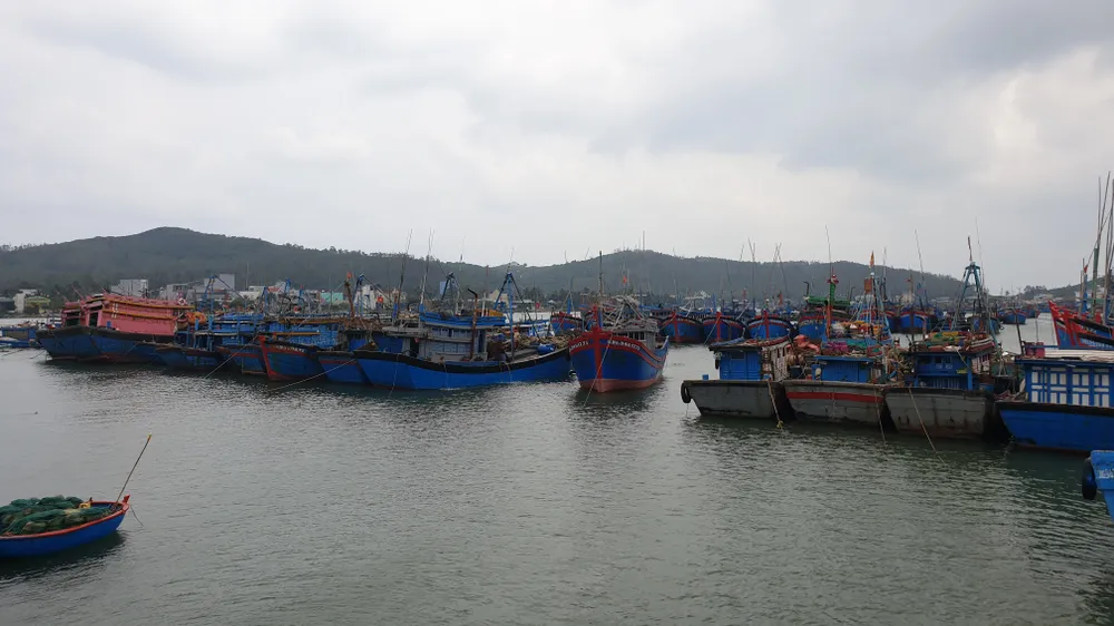 Đà Nẵng nghiêm cấm tàu thuyền ra khơi để phòng tránh bão số 5