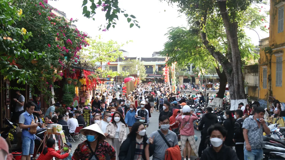Quảng Nam kiên quyết xử lý tình trạng tổ chức tour du lịch "chui", trốn thuế