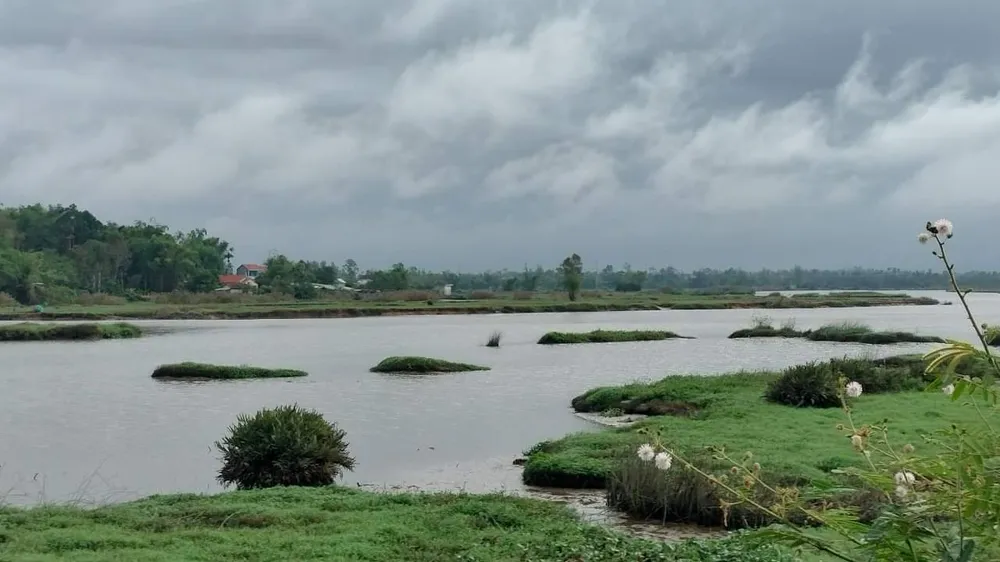 Nơi xảy ra vụ việc